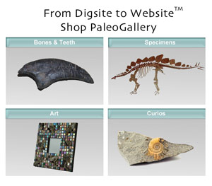 PaleoGallery Online Store
