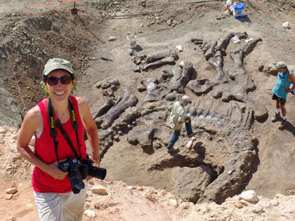 Terry Pfister Camarasaurus Jurassic Dig Site